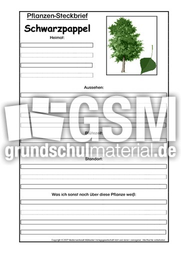 Pflanzensteckbrief-Schwarzpappel.pdf